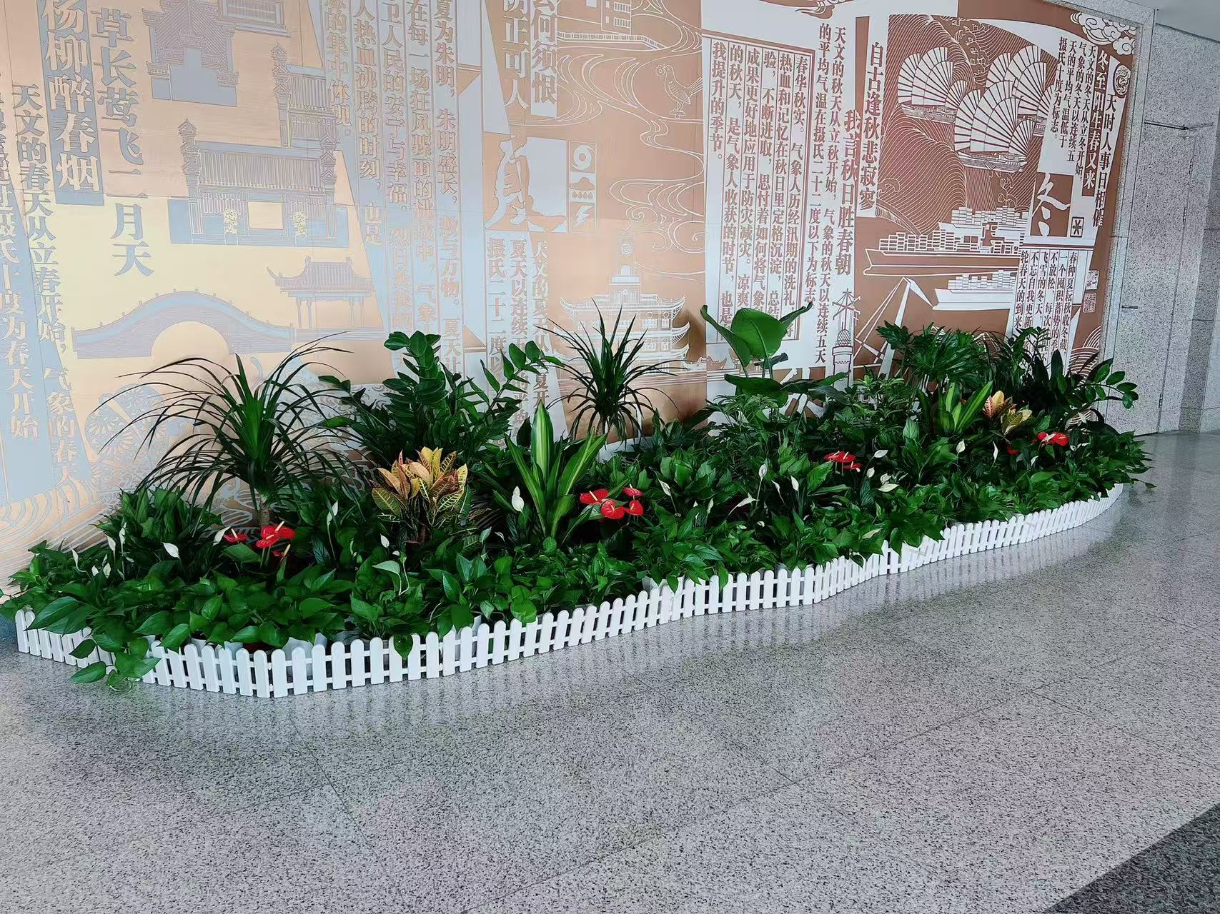 宁波北仑植物租摆，让空间瞬间充满生机与活力